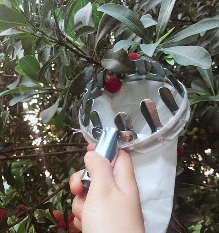 摘柚子神器 3 4 5 6 7米大号高空摘果器可伸缩采果神器柿子芒果柚子