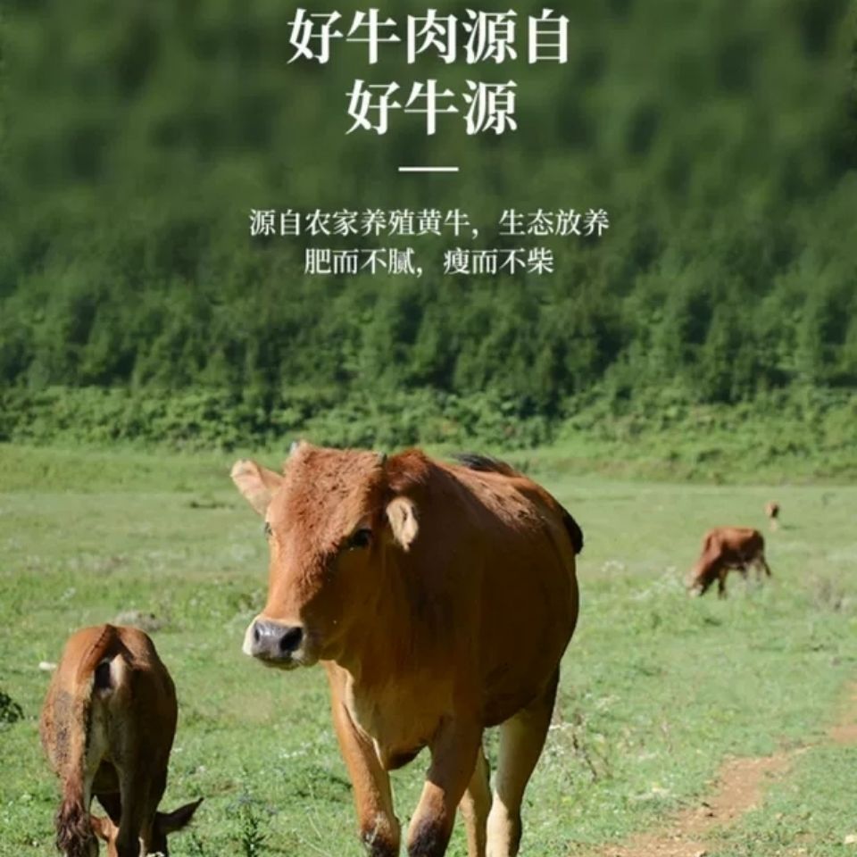 广西散养现宰黄牛牛肺新鲜生牛肺牛杂牛下水批发广纳力驰 牛喉8斤批发