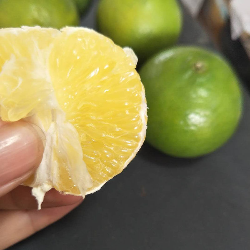 皇帝柑爛了的圖片的簡(jiǎn)單介紹