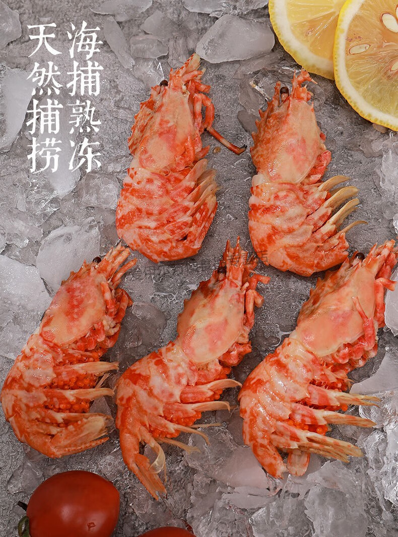 火龙虾格陵兰虾莱伯虾橙臻鲜2斤装火龙虾格陵兰莱伯虾