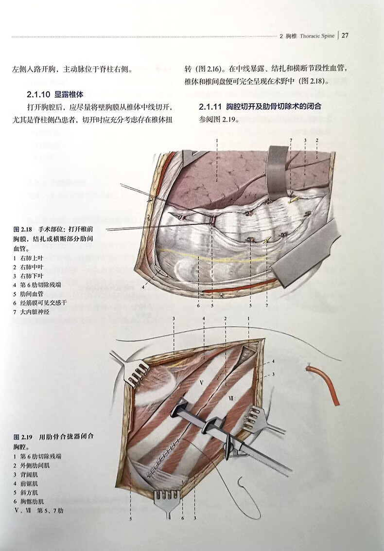 临床医学参考 外科kerschbaumer编著 临床实用图谱骨科手术入路图解