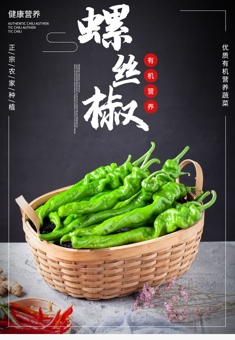 新鲜蔬菜特辣辣椒批发螺丝椒陇椒现摘薄皮青尖椒皱皮椒线椒青椒 螺丝