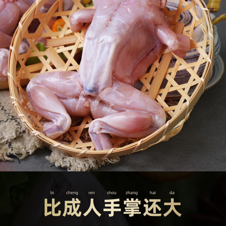 鲜活牛蛙现杀速冻大号肉去皮去头去内脏牛蛙肉批发现杀大蛙无冰衣两斤
