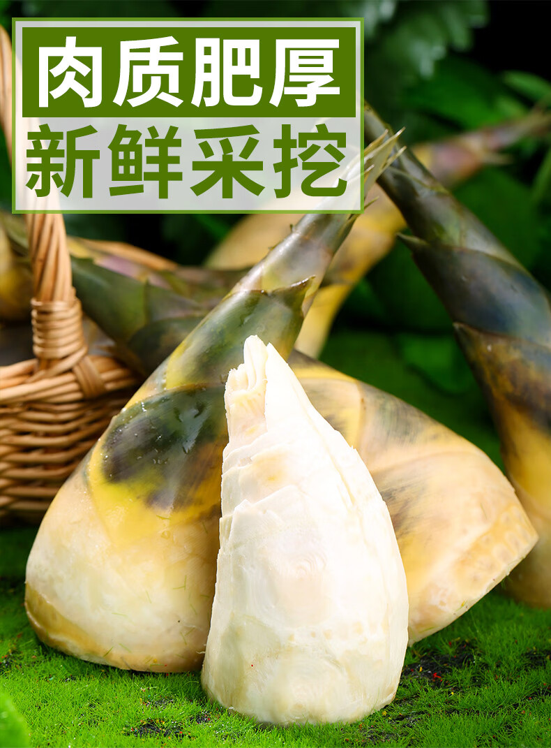【现货速发】福建新鲜马蹄笋竹笋黄泥笋春夏鲜笋脆嫩笋尖 精品大笋【4
