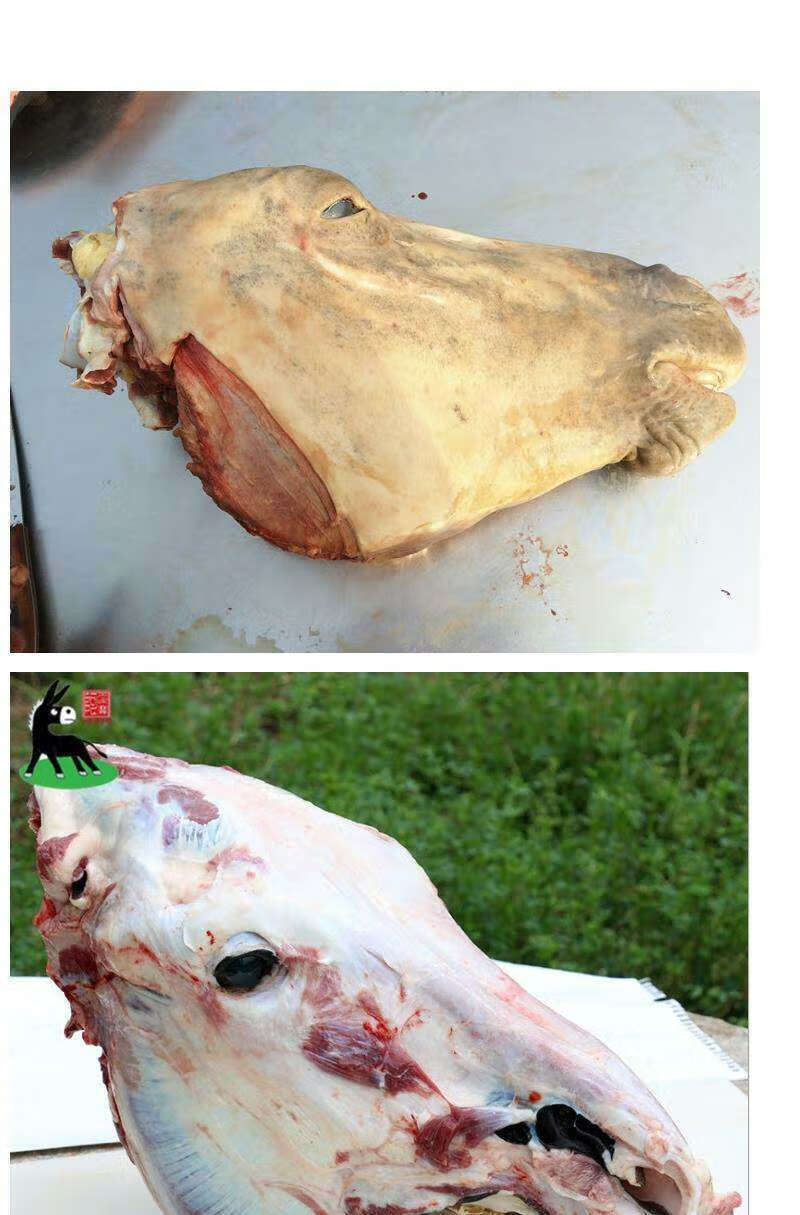 【生鲜】絮香新鲜现杀驴肉生驴头整只驴头全驴宴驴头肉带皮驴头带眼睛