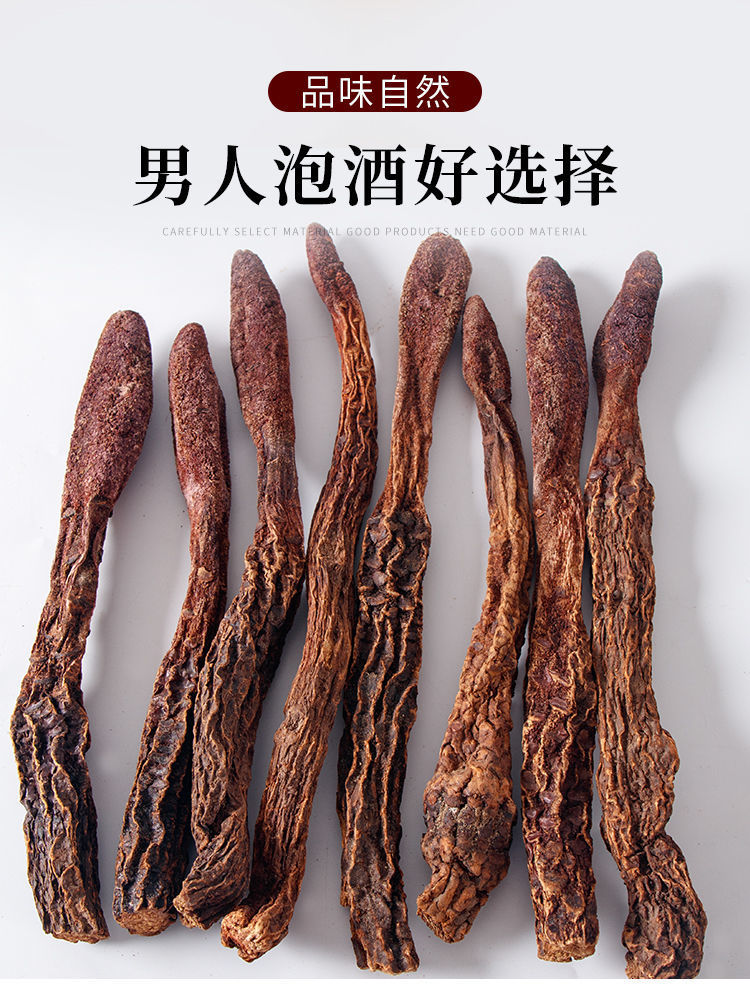 野生金锁阳泡酒肉苁蓉锁阳茶淫羊藿男性滋补泡酒 锁阳肉苁蓉淫羊藿