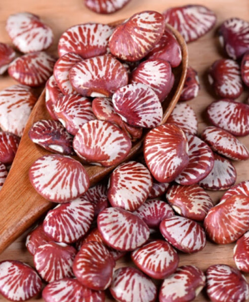 云南斑马豆大腰豆5斤农家自产花芸豆皇帝豆大肾豆饭豆扁豆紫芸豆2500g