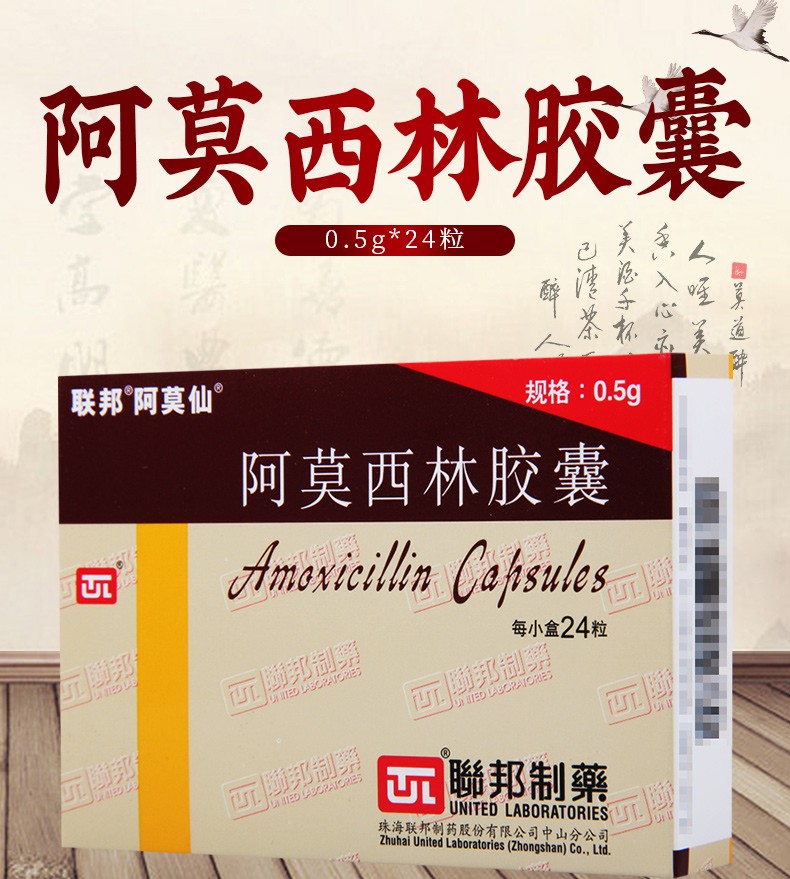 联邦阿莫仙阿莫西林胶囊05g24粒1盒