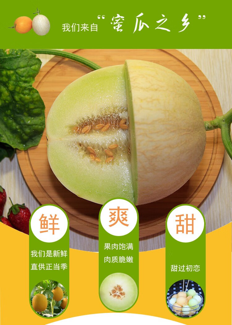 白兰瓜 新鲜水果 民勤银蒂白兰瓜现摘当季甘肃兰州