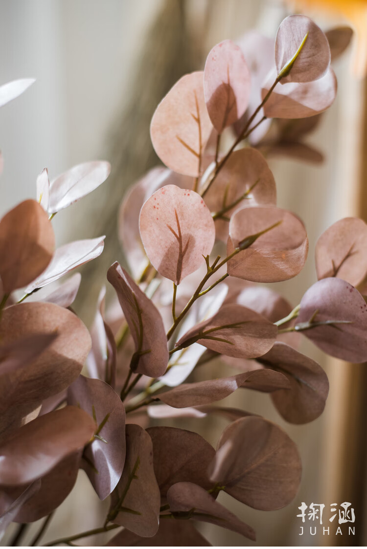 掬涵ins尤加利叶多色入仿真绿植桉树叶花艺装饰插花摆件散叶尤加利绿