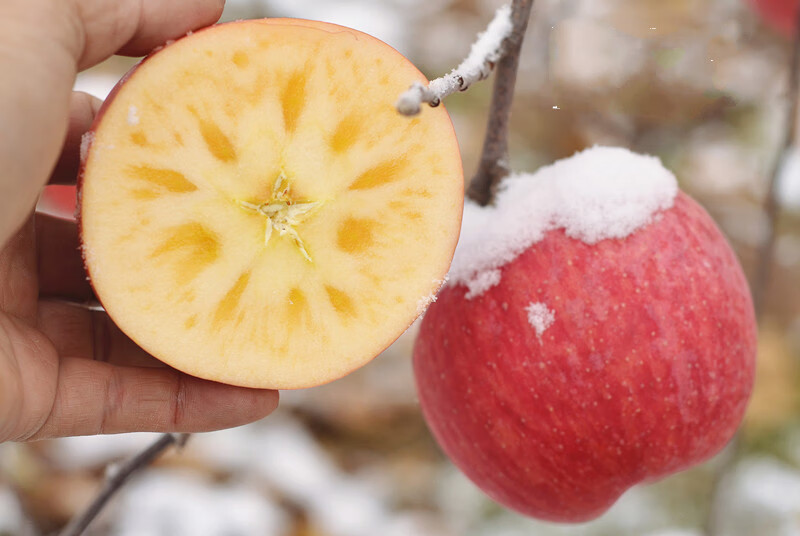 jd物流山西万荣雪果冰糖心红富士苹果7斤坏果包赔生鲜团建活动商务