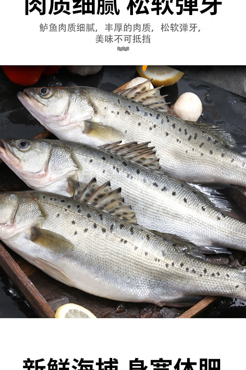 鲈鱼海鱼新鲜冷冻水产海鲜深海七星海鲈鱼海捕花鲈鱼 5条装【1斤1条】