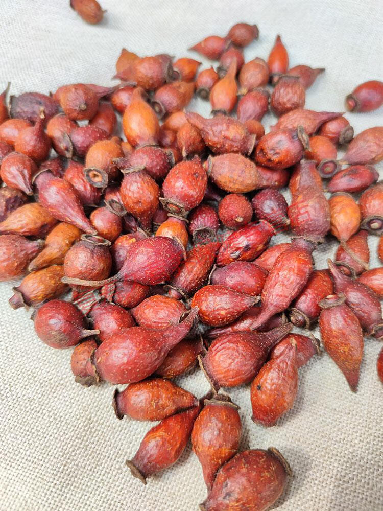 康中尊金樱子新鲜晒干野外生天然金英子减少夜尿男人泡酒中药原材500