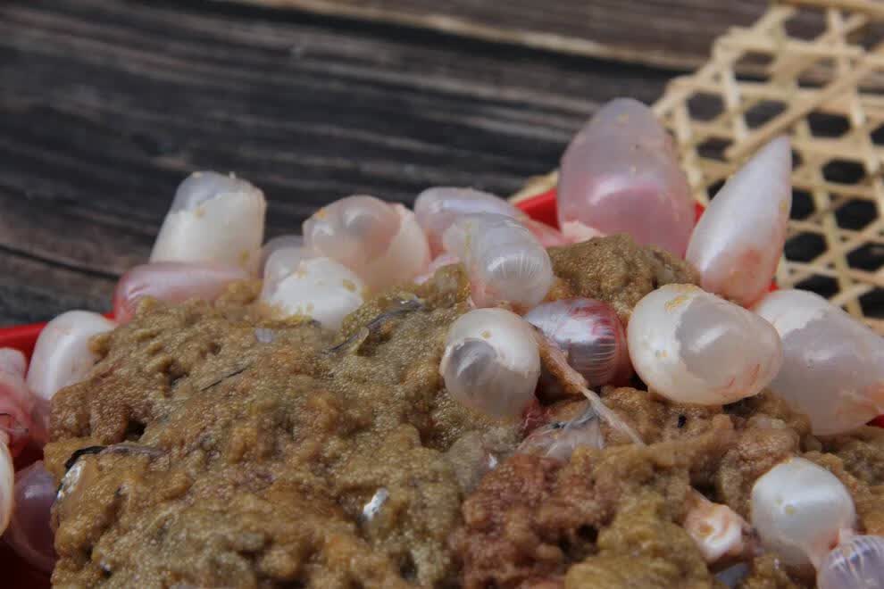 棠鲜生新鲜鲫鱼鱼籽鱼泡混合装 纯鲫鱼鱼籽新鲜鱼卵鱼蛋 2斤