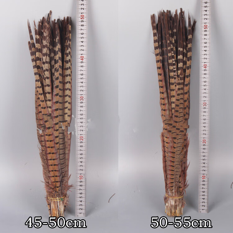 草庄野鸡毛野鸡毛地鸡毛逗猫羽毛棒山鸡羽毛京戏翎子山鸡尾25110厘米