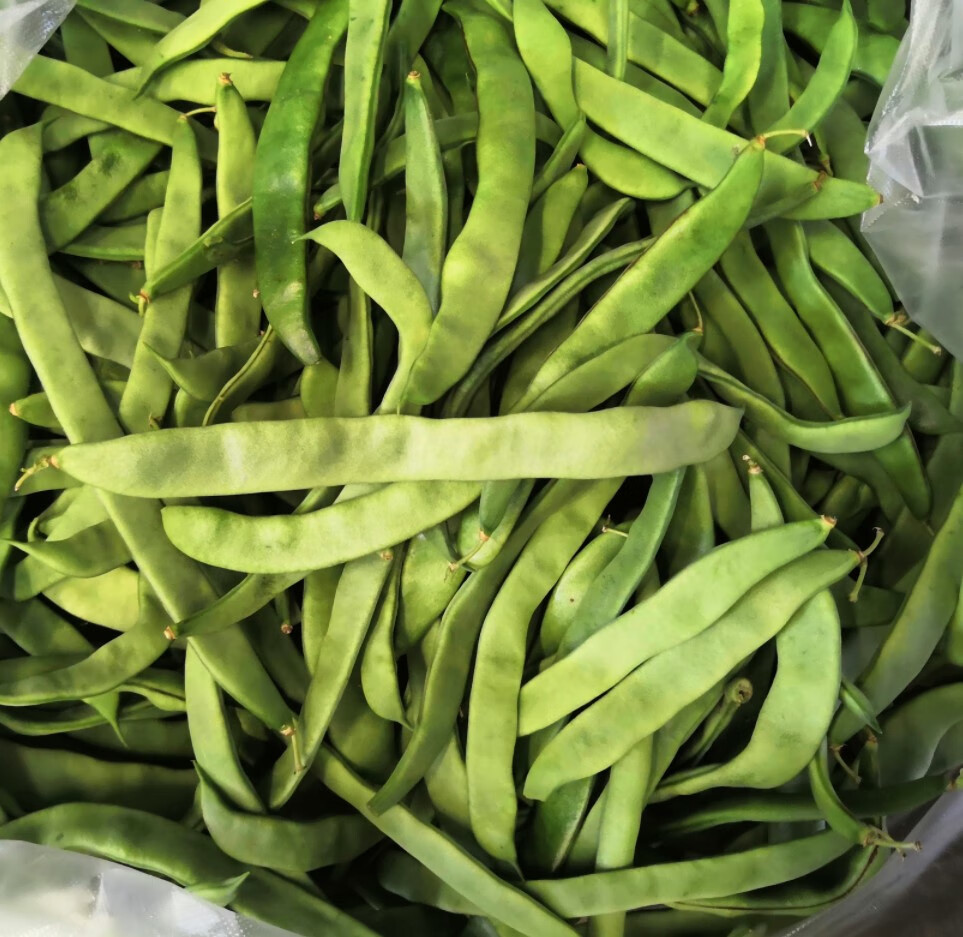 扁豆角新鲜扁芸豆豆角四季豆刀豆新鲜蔬菜农家种植现摘生鲜团购送礼