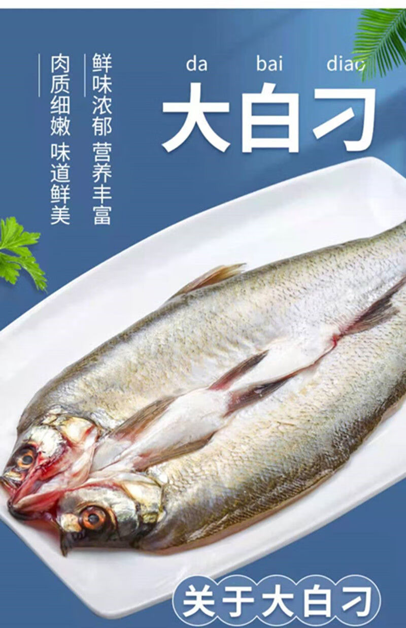 翘嘴鱼大白刁子鱼湖北特产淡水鱼阳干鱼新鲜开背去