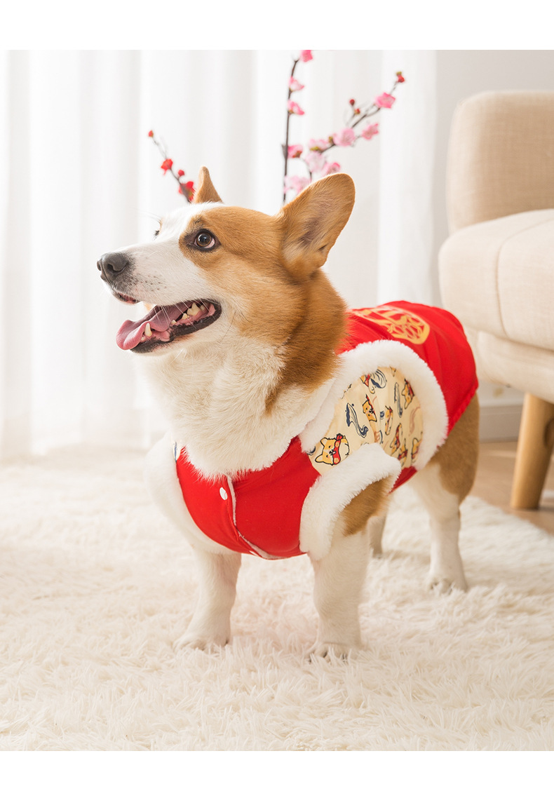 狗狗秋冬季新春柯基小狗狗唐装新年保暖两脚棉衣中小型犬过年宠物衣服