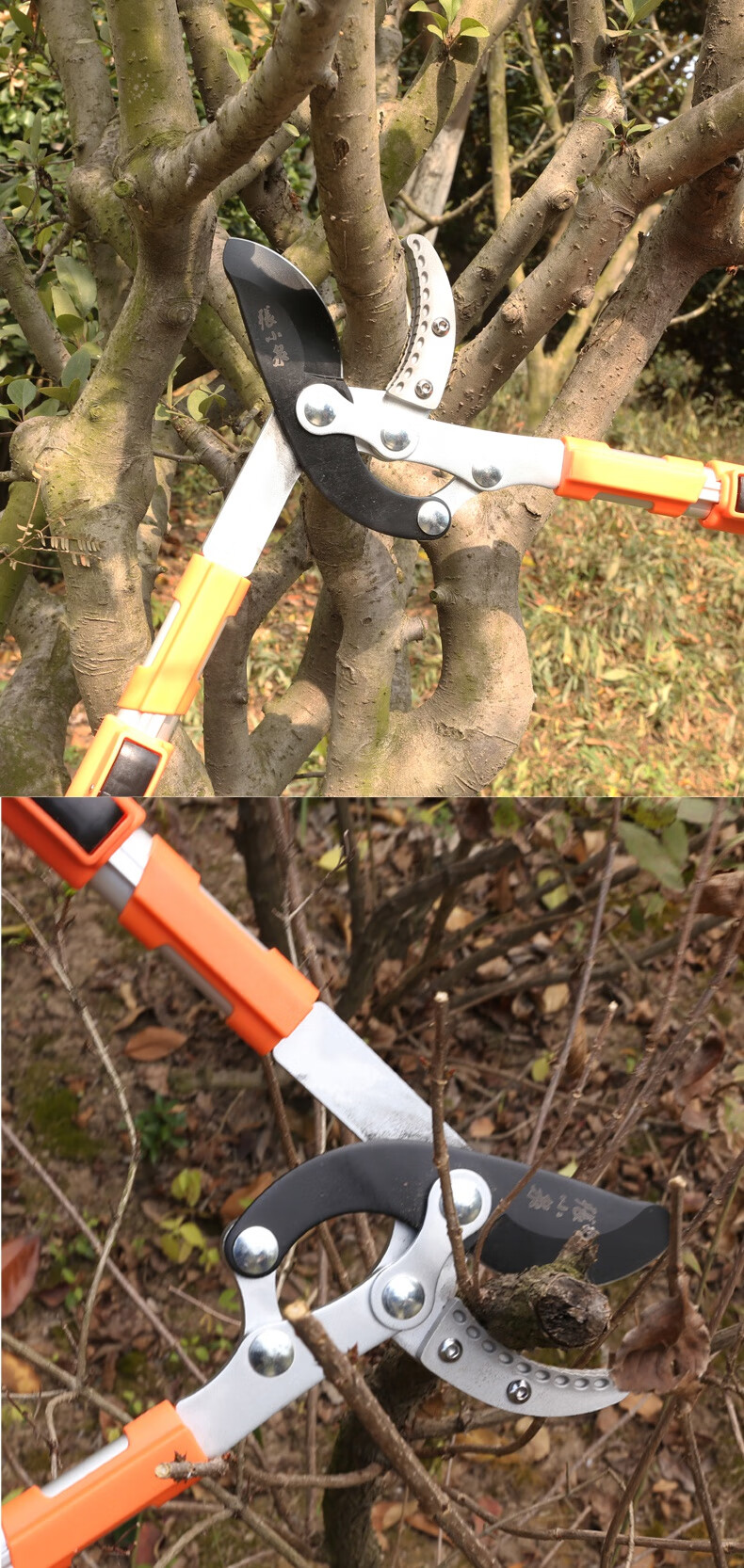 张小泉果树强力粗枝剪园林剪枝园艺大剪刀省力修剪树枝剪刀大力剪 s10