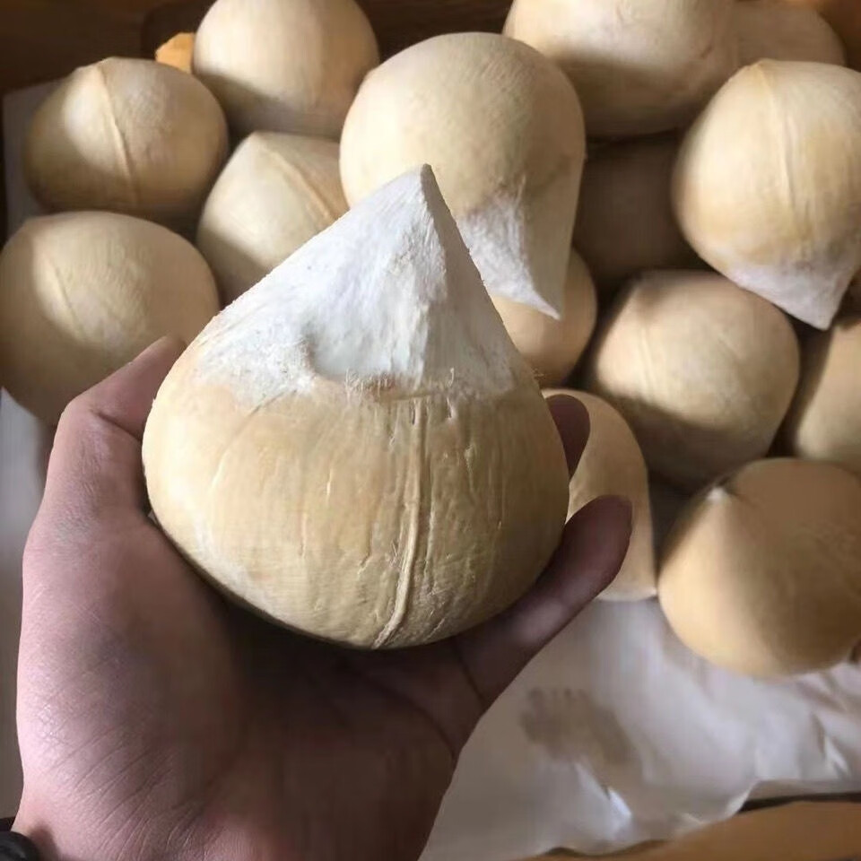 海南三亚牛奶香椰 去皮小椰子芋奶椰皇海南三亚新鲜水果 6个装【图片