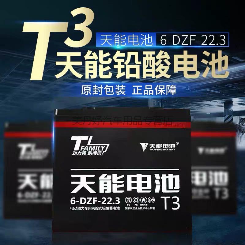 电池电瓶雅迪爱玛48v12ah48v20a60v20a72v20三轮车电动车天能72v32ah