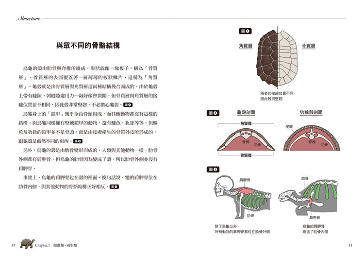 超猎奇 人体动物图鑑 乌龟的壳其实是肋骨川崎悟司港台原版图书籍进口正版台版繁体中文 摘要书评试读 京东图书