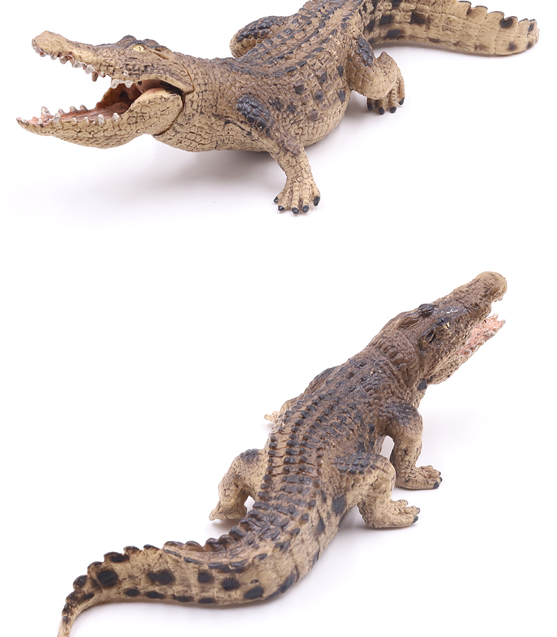 实心仿真鳄鱼模型尼罗鳄扬子鳄野猪鳄短吻鳄动物玩具帝鳄动物园非洲