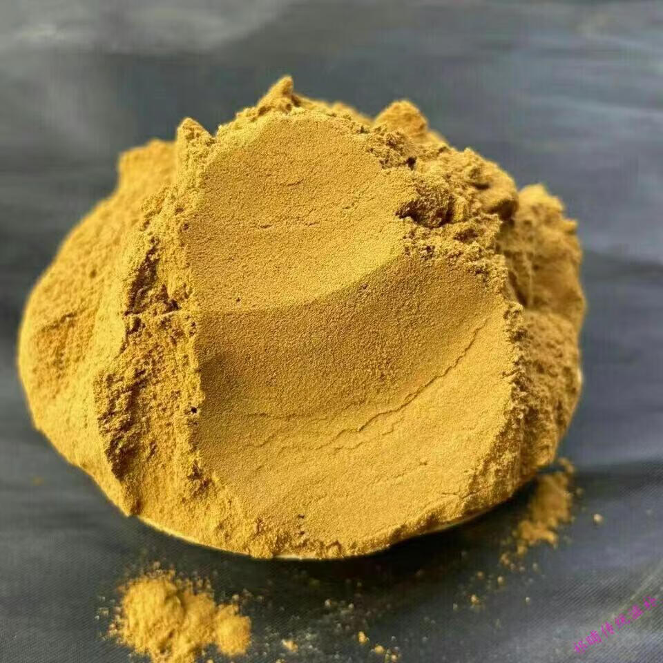 桑黄粉正宗西藏野生桑树桑黄茶桑黄粉金边桑黄粉50克500g西藏桑黄粉50