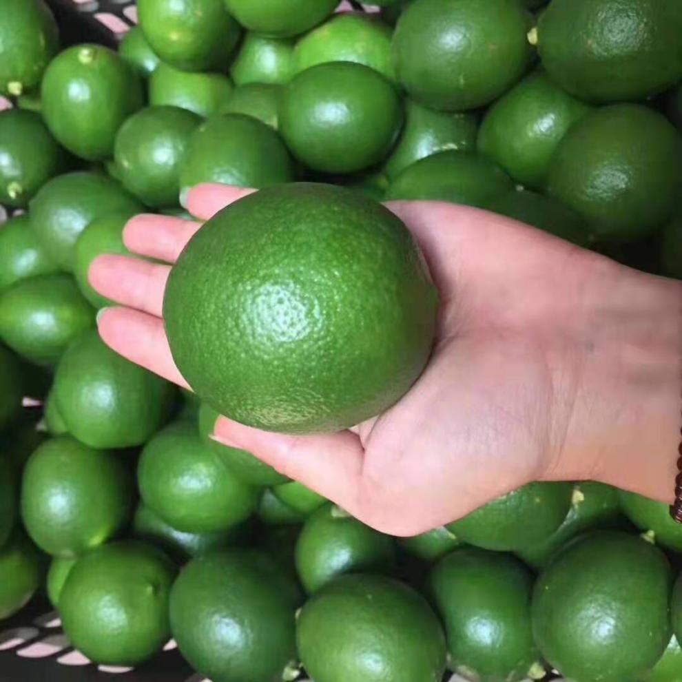 更多参数>>国产/进口:国产原产地:美国包装形式:礼盒装种类:青柠檬