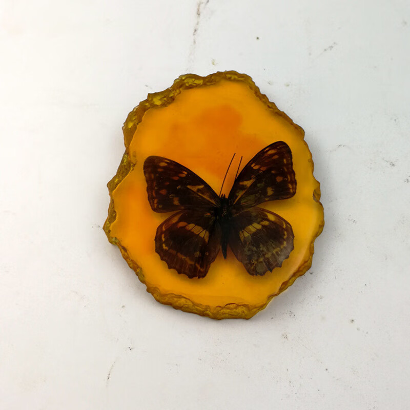 观玉天然人工琥珀吊坠虫子标本虫动物昆虫图片色蝴蝶