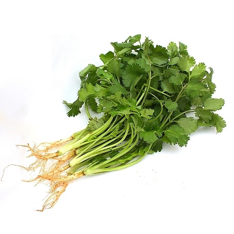 香菜碎 香菜干250g/袋 香菜叶 脱水蔬菜 干香菜 调料香菜 颗粒干香菜