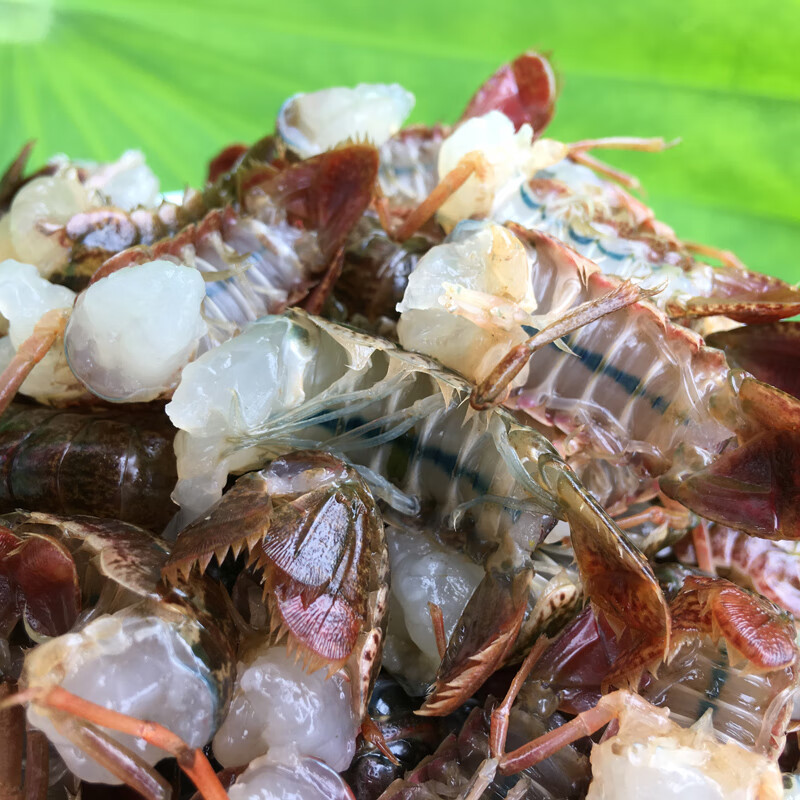 橙伯乐洪湖新鲜小龙虾尾2斤装鲜活去头现剥中号无冰虾球虾尾顺丰