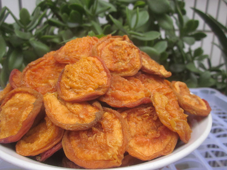 今年新货 蔚县大杏干 酸甜 略偏酸 无核 500克 杏肉 偏甜口 肉厚颜色