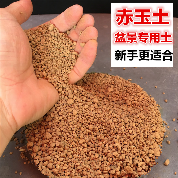 赤玉土盆景专用土营养土硬质颗粒土铺面石疏松透气农家有机肥土赤玉土