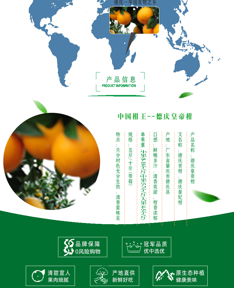 【顺丰到家】广东德庆皇帝柑水果礼盒 现摘贡柑橘子 新鲜德庆水果贡柑