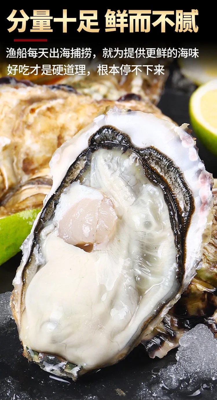 顺丰冷链乳山蚝王山东乳山刺身级生鲜活特大生蚝大牡蛎即食带壳海蛎子