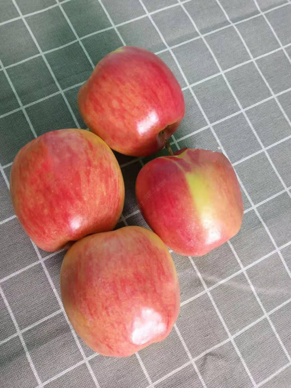 黄红苹果神仙果高端新鲜当季水果爽脆 8斤