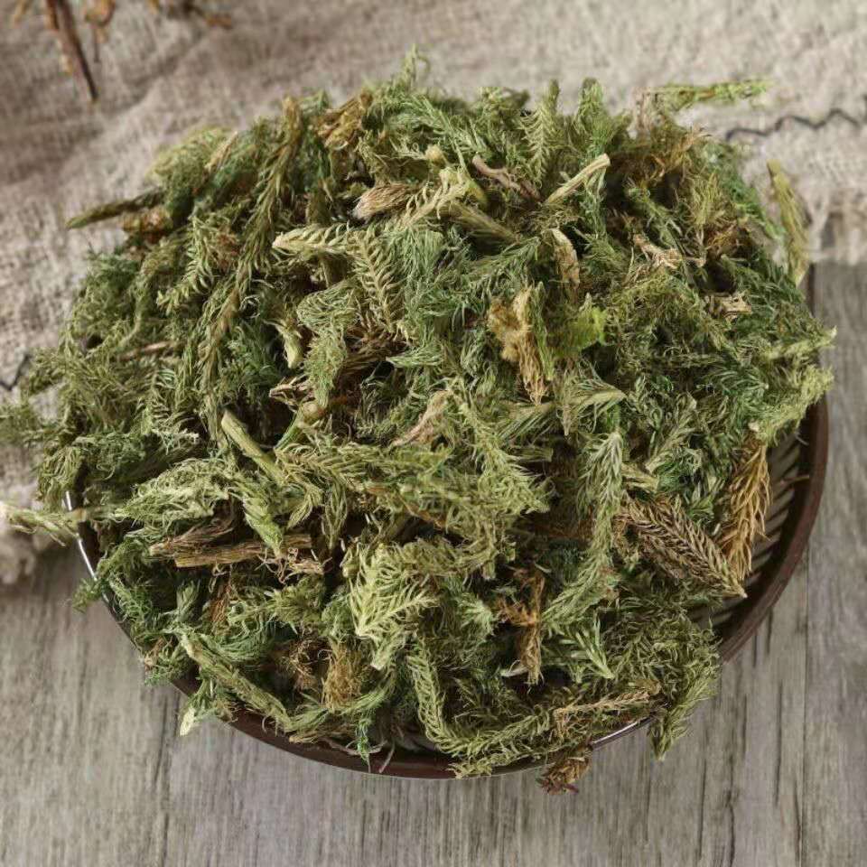 伸筋草中药材中草药筋骨草 舒筋草 抓打粉 1000克【图片 价格 品牌