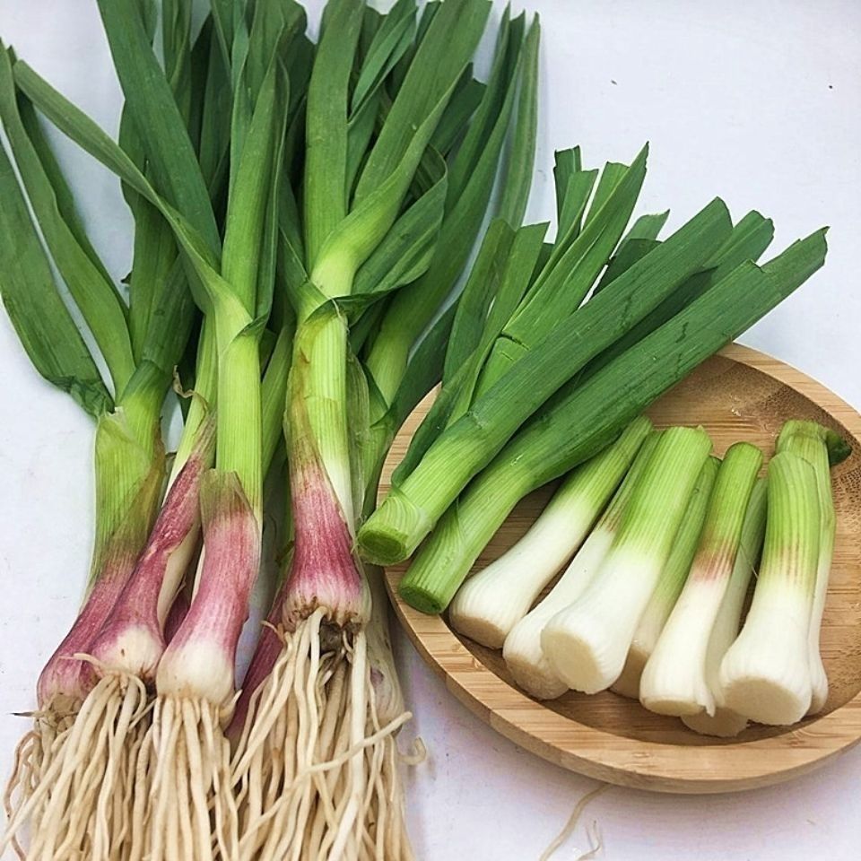 便宜好货10斤红皮蒜苗新鲜蒜苗青蒜批发2斤4斤6斤6斤