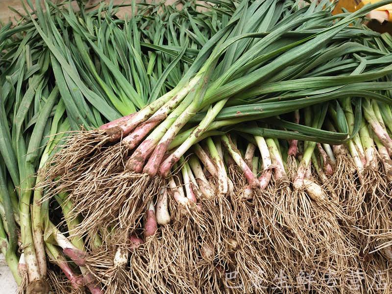 (顺丰速运1/3斤装)农家新鲜蒜苗紫皮小香蒜苗嫩红皮大蒜叶子青蒜蔬菜