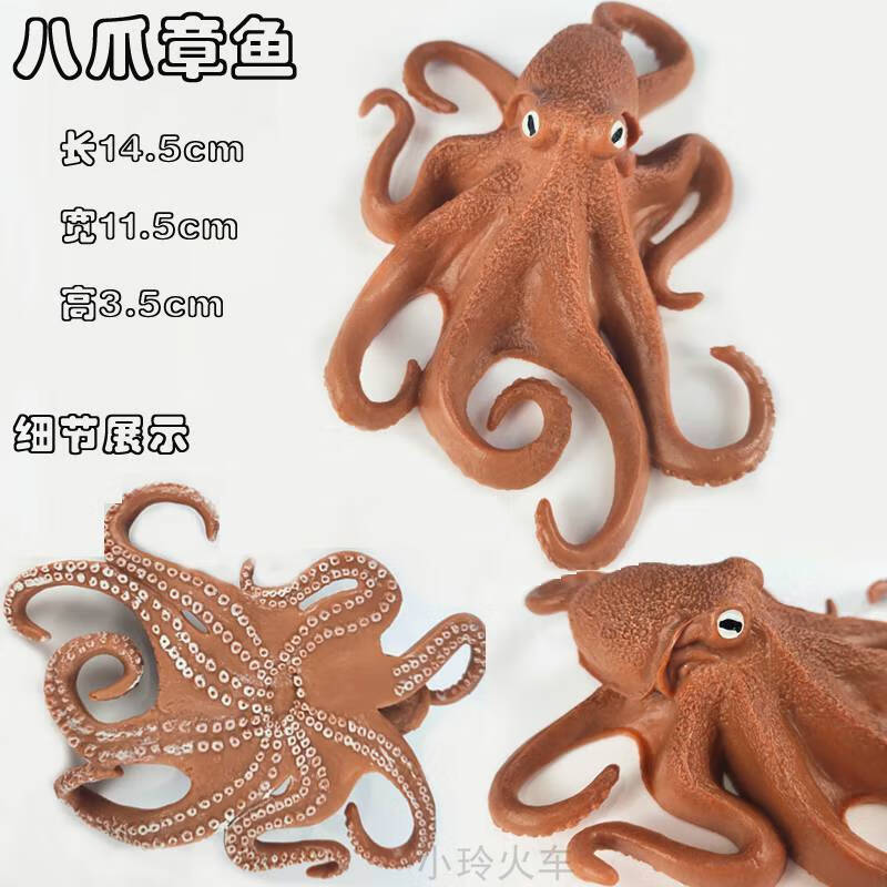仿真海洋生物海底大王乌贼模型鱿鱼玩具章鱼动物模型抹香鲸玩具 大号