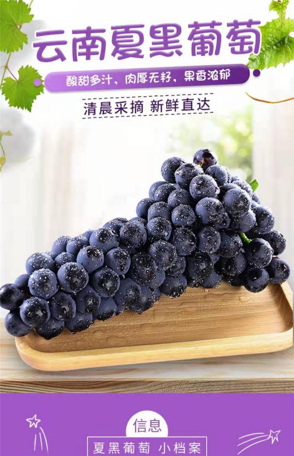 媚调 云南夏黑葡萄现发蓝莓葡萄无籽黑提水果孕妇发货 4斤【图片 价格