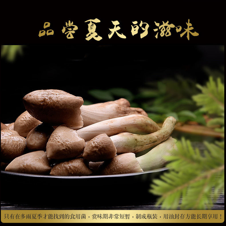 云南特产香蕈鸡枞菌500克/瓶松茸菌牛肝菌子即食香菇下饭菜鸡枞油