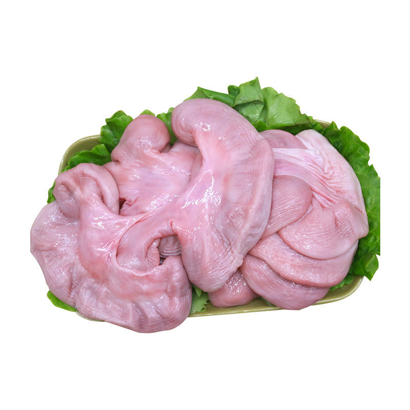 【精品冷运】猪儿肠5斤花肠脆肠 串串火锅烧烤食材