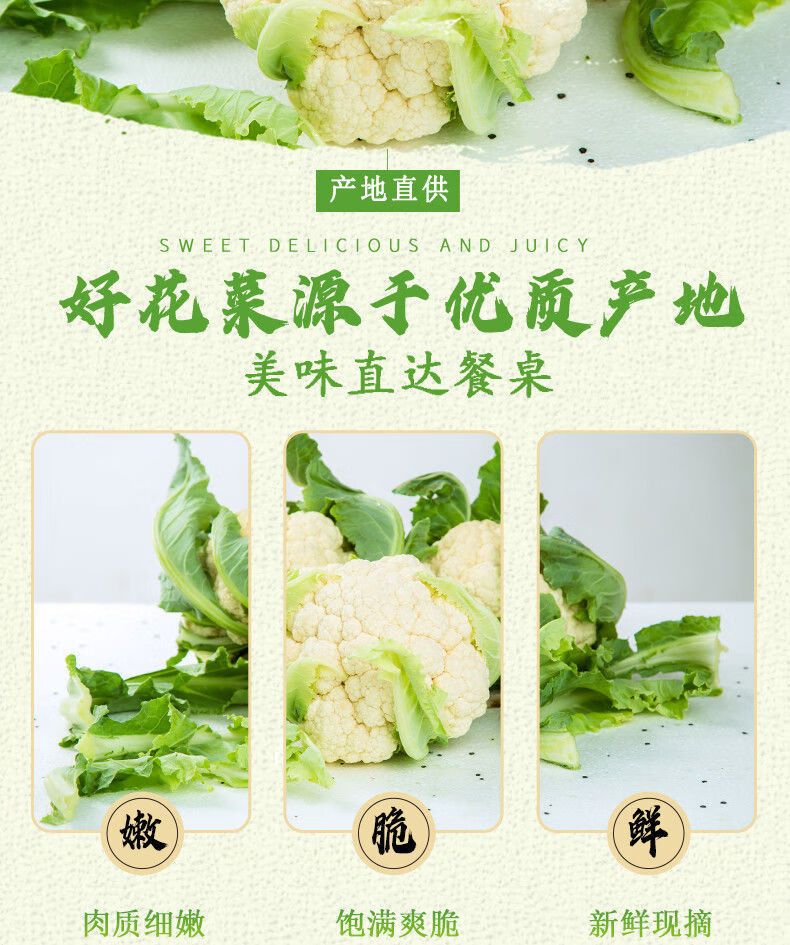 菜花新鲜有机花菜椰菜松花菜球白菜花散花蔬菜 净重3-3.