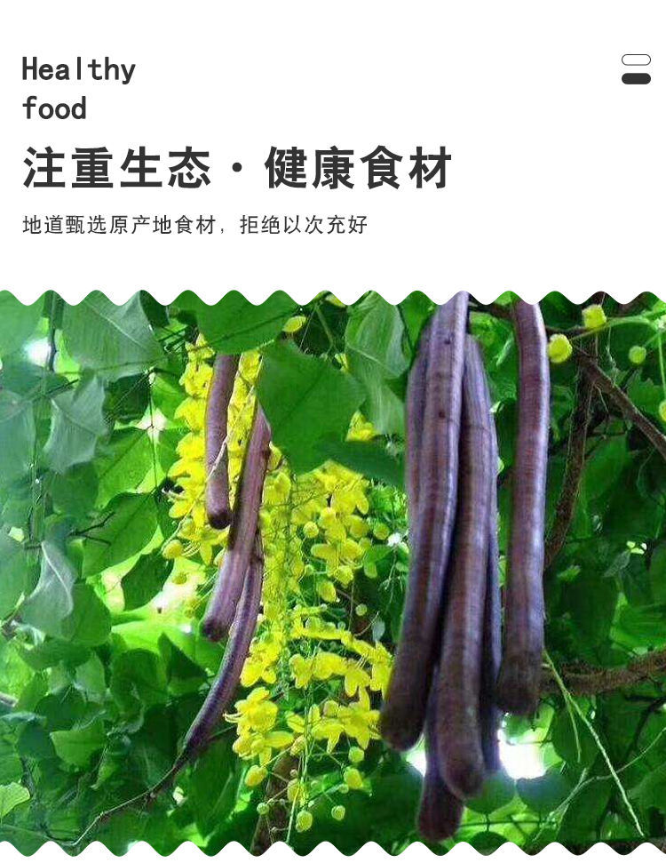 天然果排便大解果精选腊肠果减通清润肠肥宿便茶100克试用装