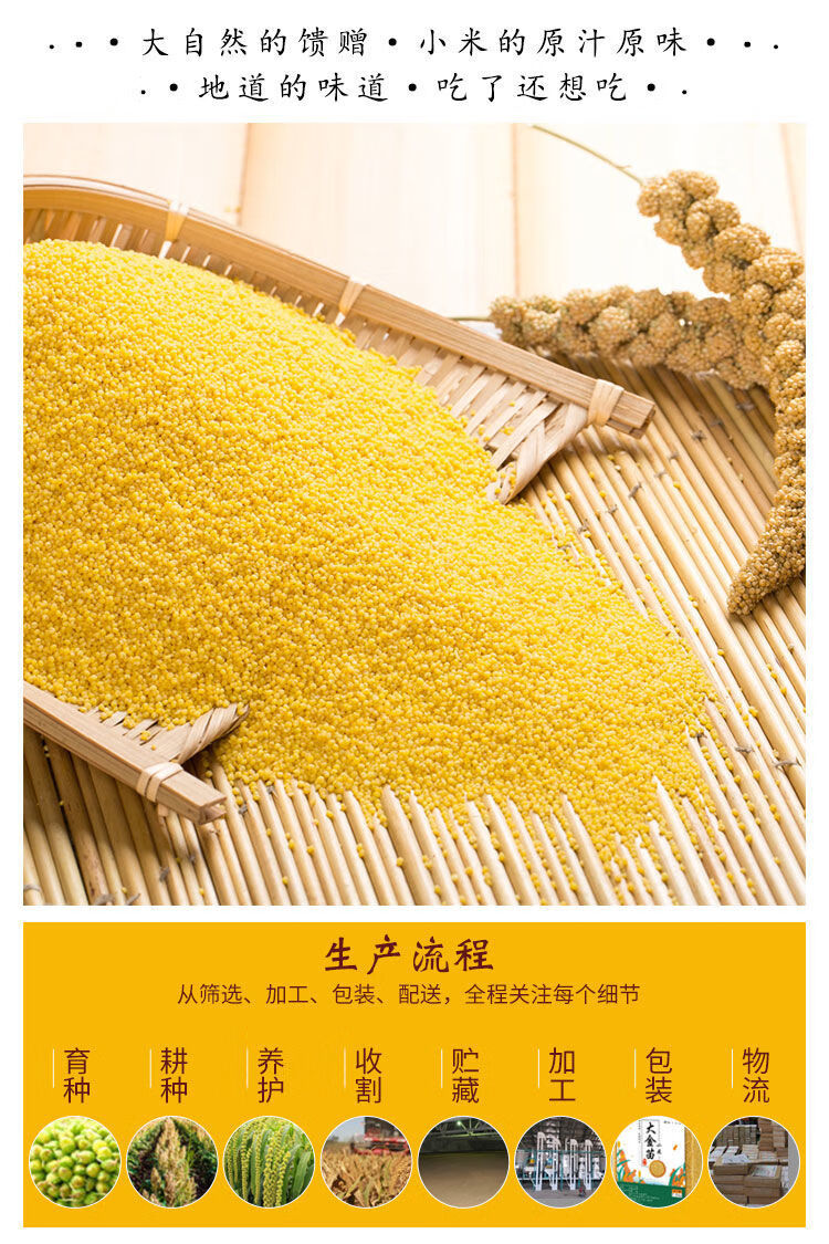 东北辽宁朝阳正宗黄小米1斤5斤真空袋装小黄米杂粮食用大金苗新米每日
