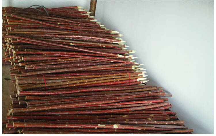 红柳枝新疆红柳烤肉签子红柳签子30至50厘米红柳枝40厘米粗12至15毫米