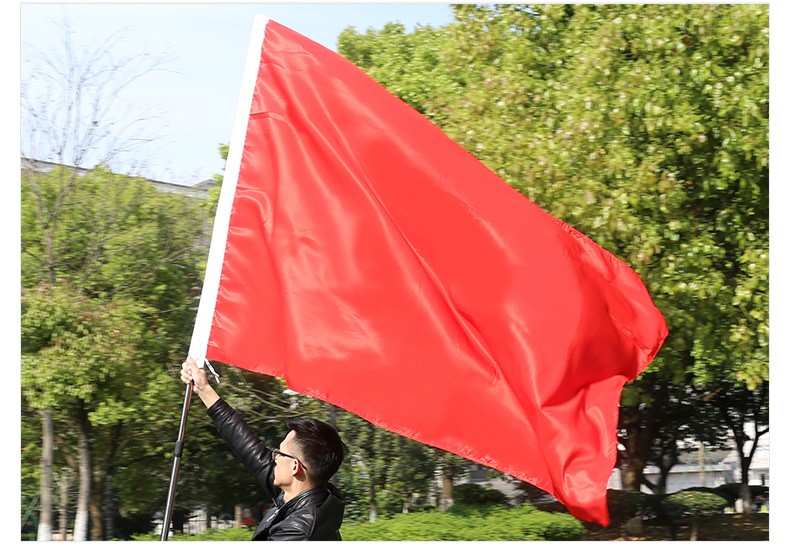 奥乐维斯中国国旗五星红旗国旗党旗各国外国旗纯色空白红旗大红旗
