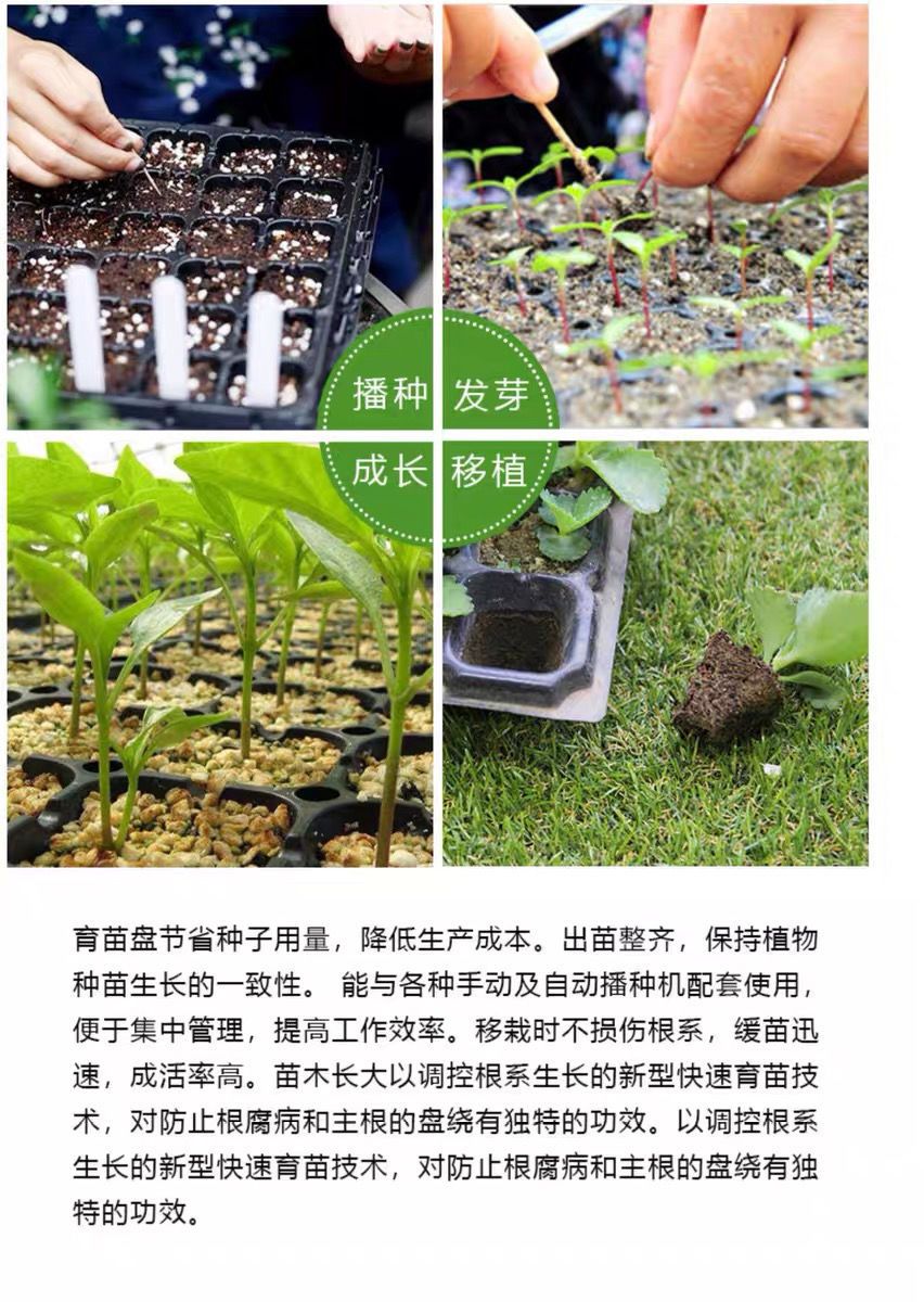 芽菜扦插盘秧苗盘草莓育苗盆 加厚72孔黄瓜/辣椒类新材料10片【图片